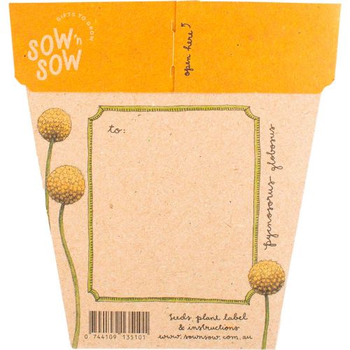 Gift_of_Seeds_Billy_Buttons2