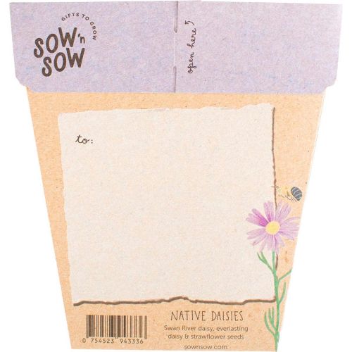 Gift_of_Seeds_Daisies_Native2