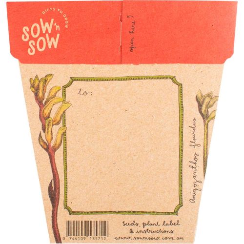 Gift_of_Seeds_Kangaroo_Paw2
