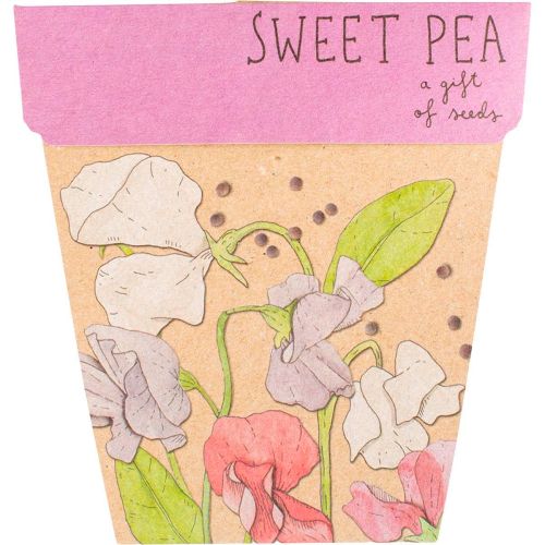 Gift_of_Seeds_Sweet_Pea1