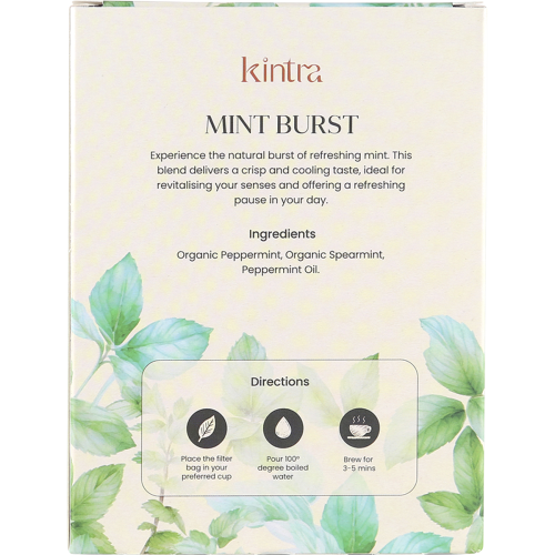 Herbal_Tea_Bags_Mint_Burst2