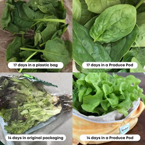 Produce Pod Reusable Produce Bag Blueberry