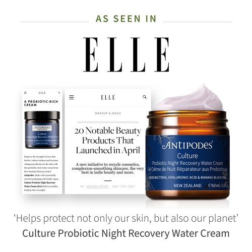 Antipodes Culture Probiotic Night Recovery Water Cream 60ml