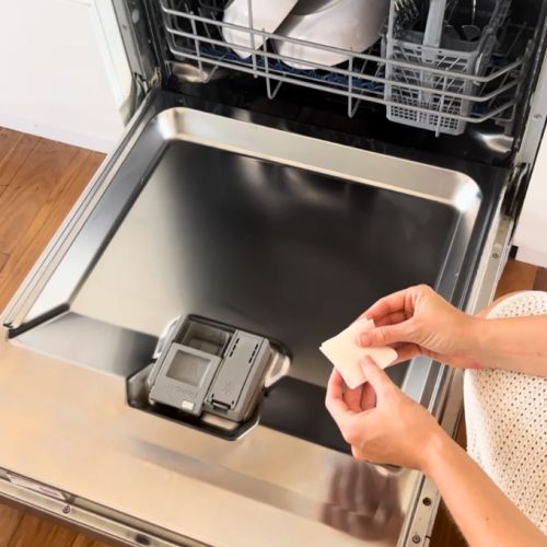 Cleaner Days Dishwasher Detergent Sheets