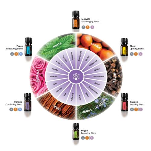 doTERRA Cheer Touch Emotional Essential Oil Blend 10ml Roll On
