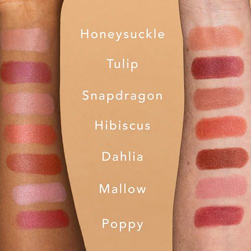 Ethique Lipstick colour chart