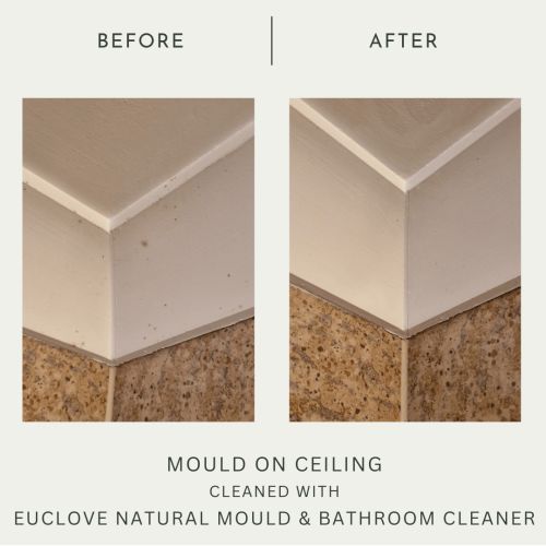 euclove-bathroom