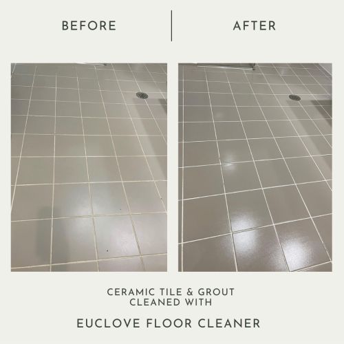 euclove-floor