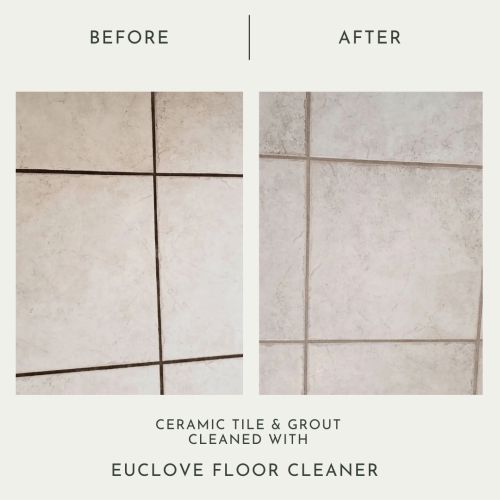 euclove-floor