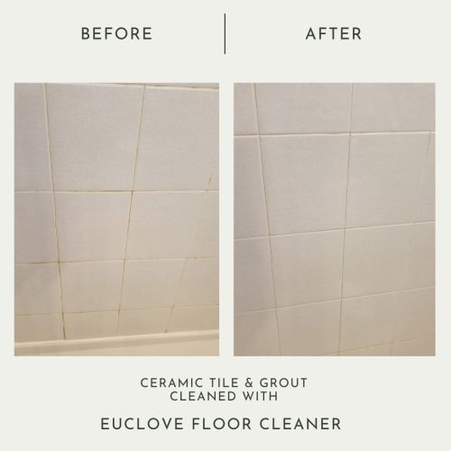 euclove-floor