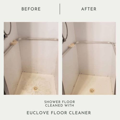 euclove-floor