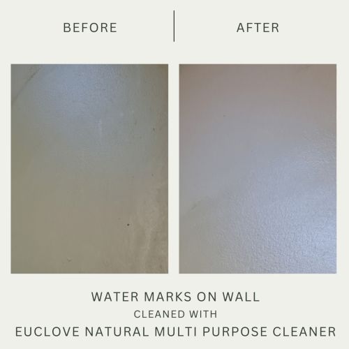 euclove-multi