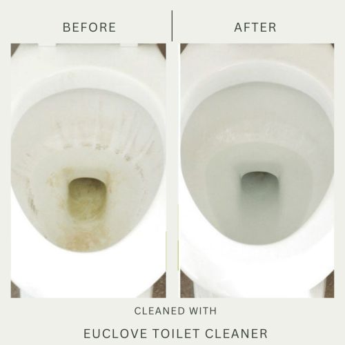 euclove-toilet