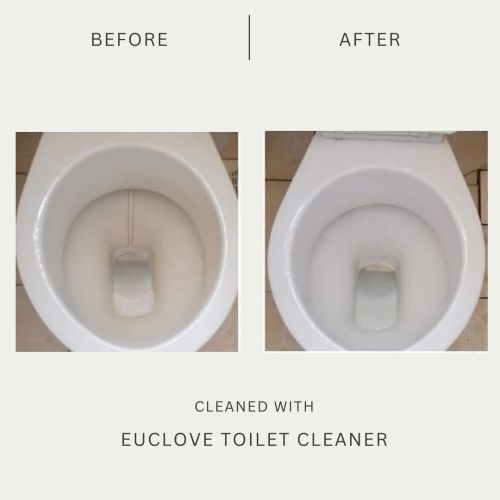 euclove-toilet