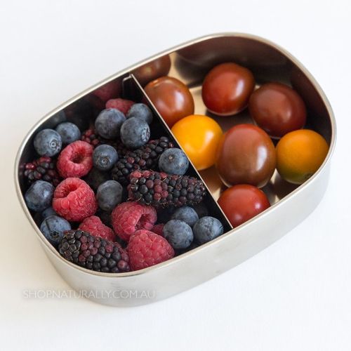 Ever Eco Stainless Steel 2 Compartment Bento Snack Box