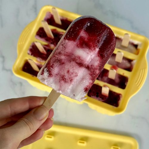 evereco-popscle-mould-tray-12