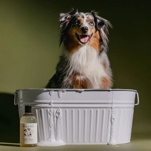 Buy Koala Eco Dog Wash online