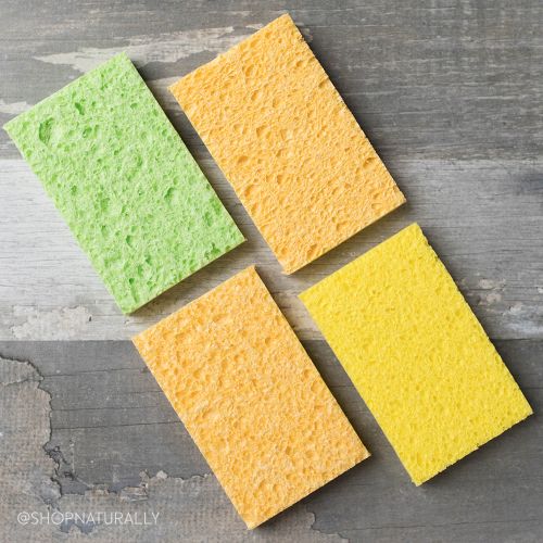 Buy Natural Value Dual Surface Cellulose Sponges Online