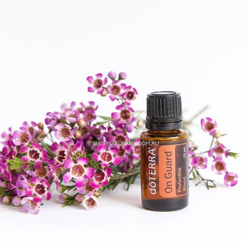 On Guard Essential Oil Highlight  Benefits and Uses of DoTERRA's  Protective Blend - Our Oily House