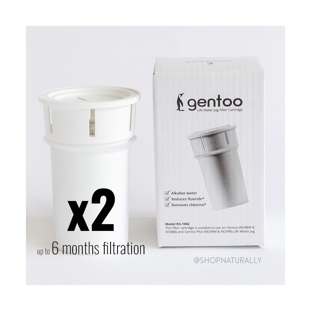 Eco Bud Gentoo Replacement Filter 2 pack 6 months