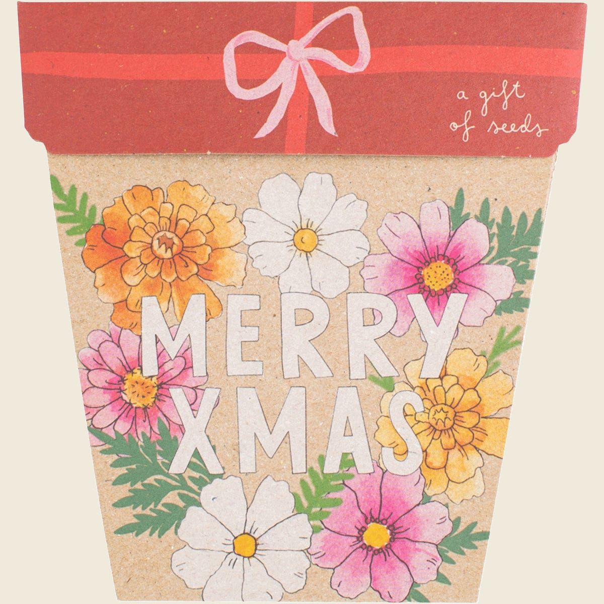 Sow 'n Sow Gift of Seeds Christmas Blooms