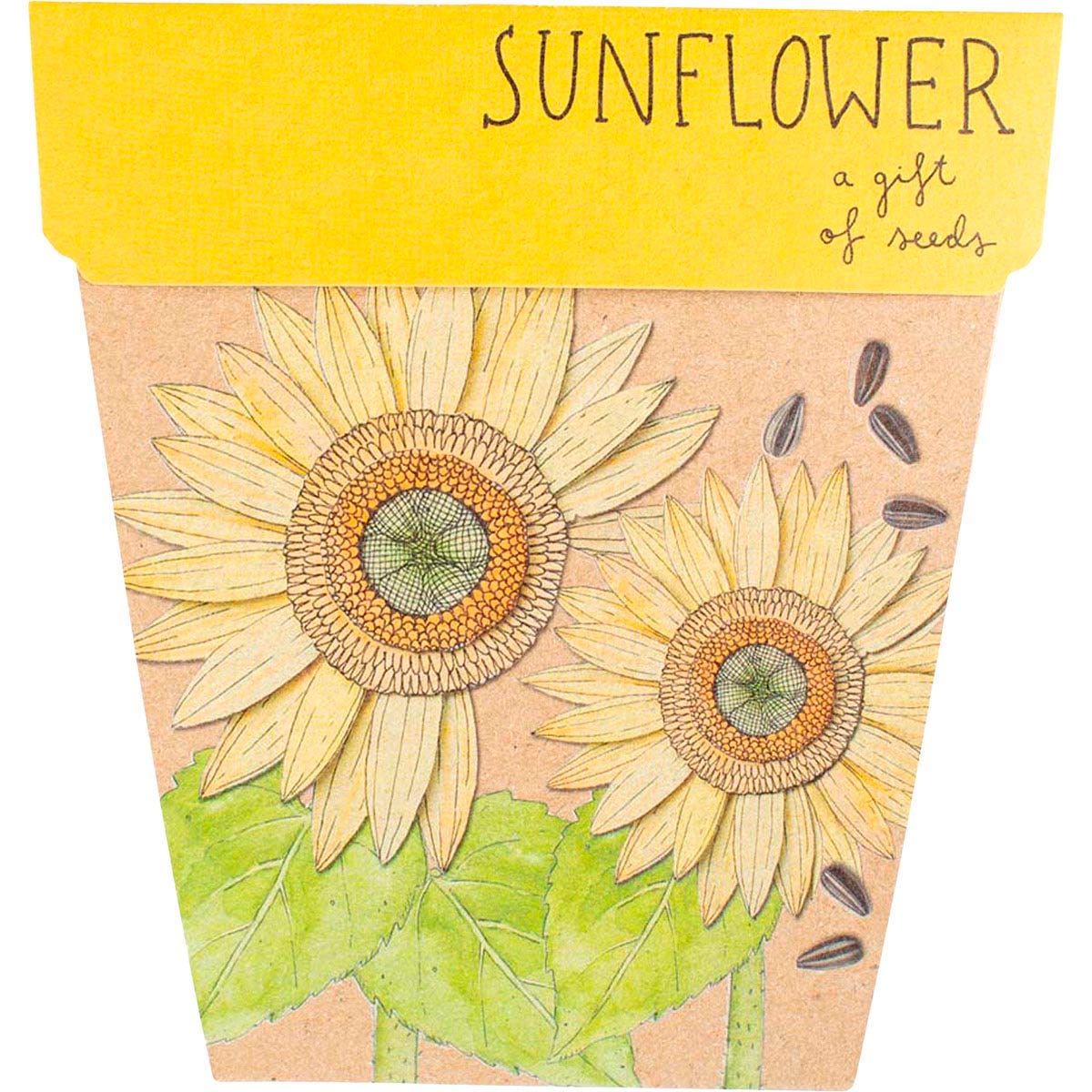 Gift_of_Seeds_Sunflower1