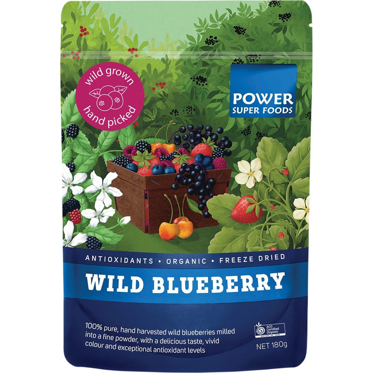 Wild_Blueberry_Powder1