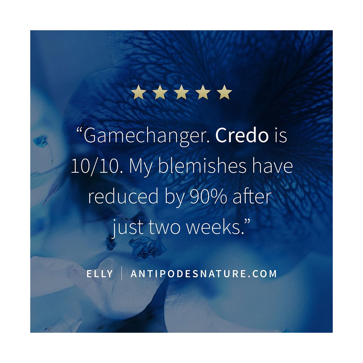 Antipodes Credo Probiotic Anti-Blemish Serum 30ml