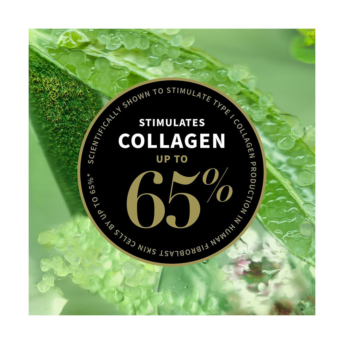 Antipodes Lime Caviar Collagen-Rich Firming Cream 60ml