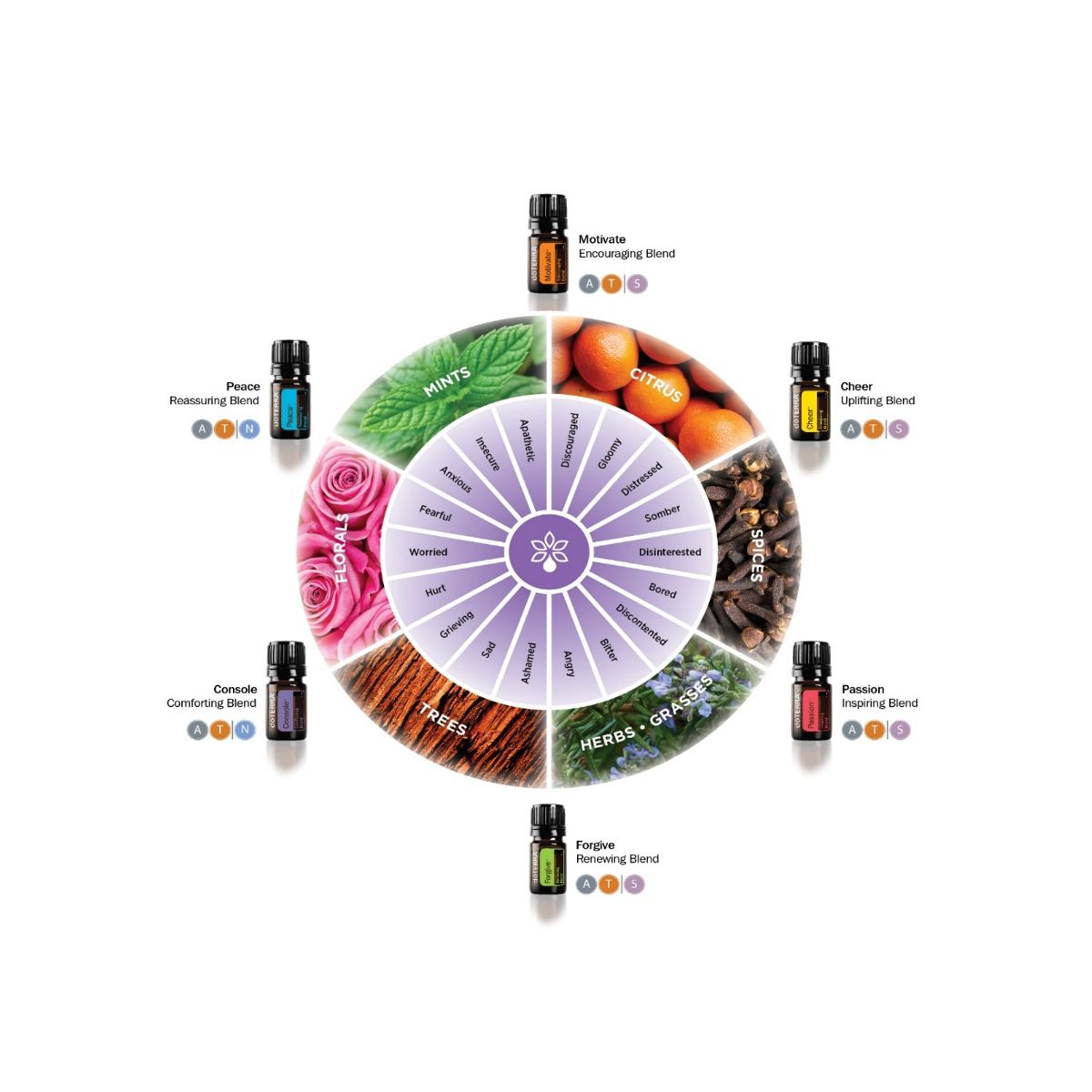 doTERRA Forgive Touch Emotional Essential Oil Blend 10ml Roll On