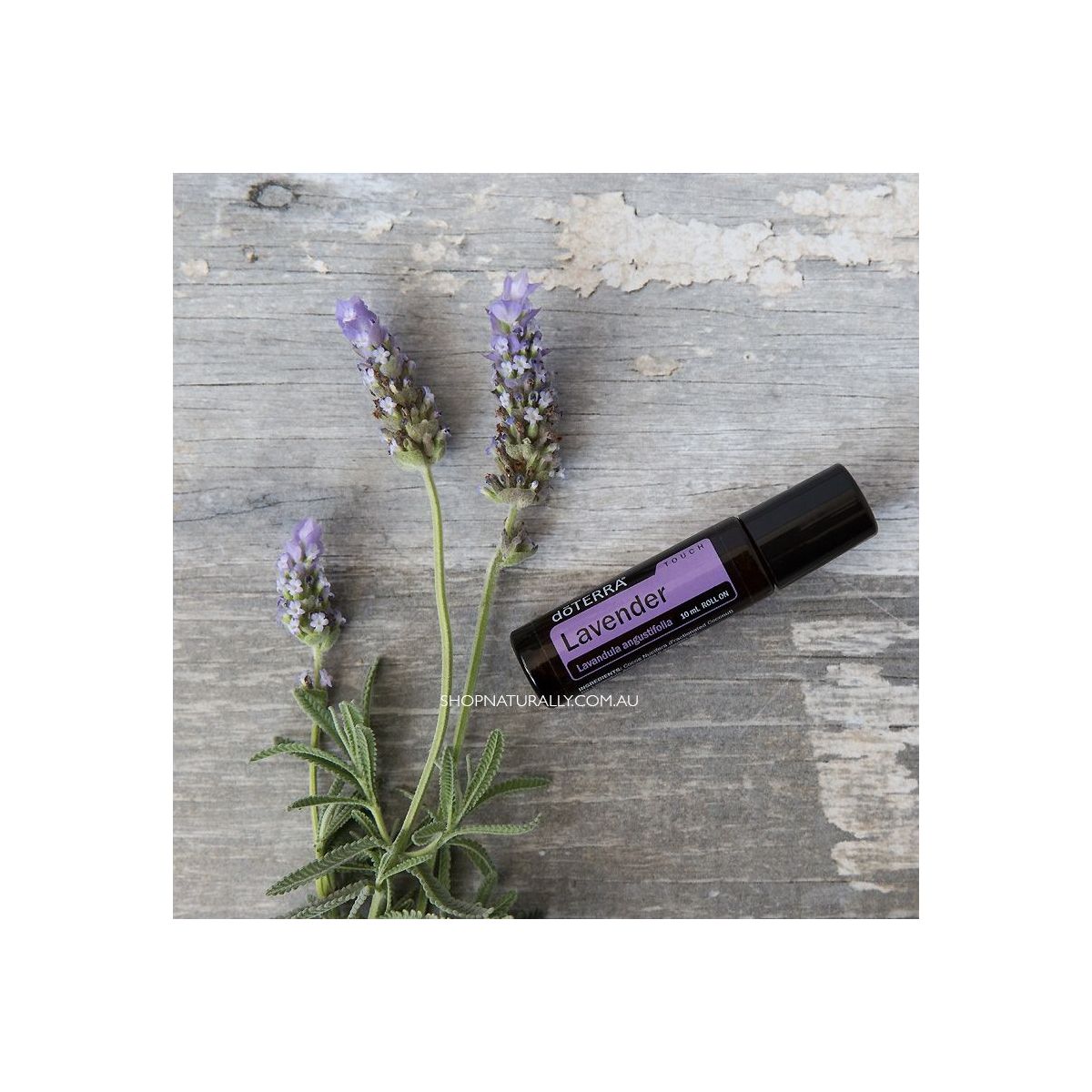 doTERRA Lavender Touch Essential Oil 10ml rollon