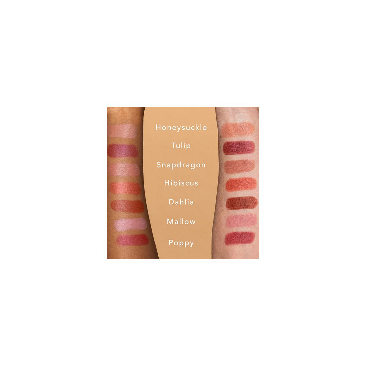 Ethique Lipstick colour chart