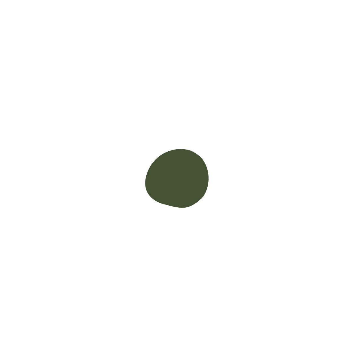 Hanami Nail Polish The Moss 15ml