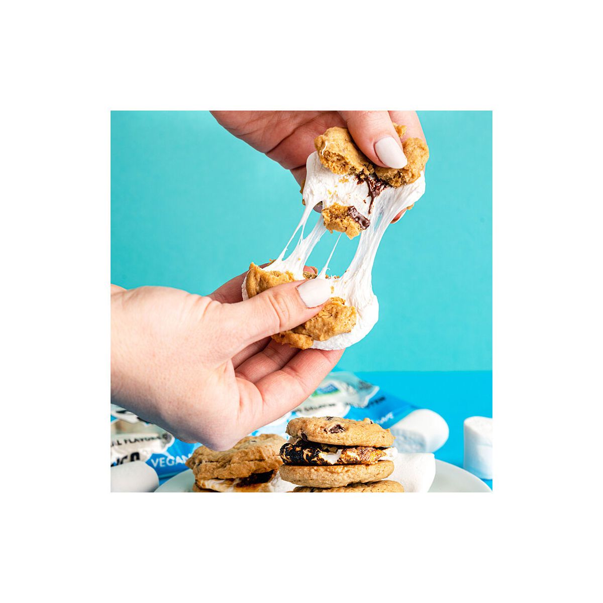 Dandies Vegan Vanilla Marshmallows 283g