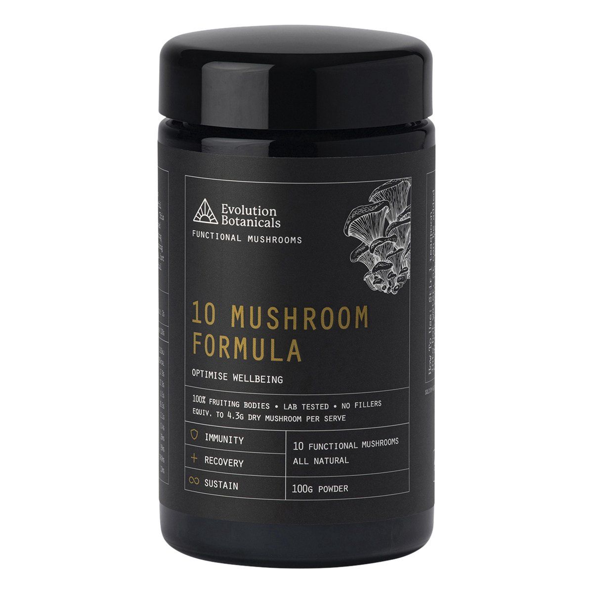 Evolution Botanicals 10 Mushroom Formula Optimise Wellbeing 90g