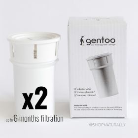 Eco Bud Gentoo Replacement Filter 2 pack 6 months