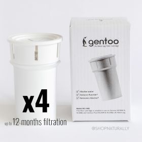 Eco Bud Gentoo Replacement Filter 4 pack 12 months