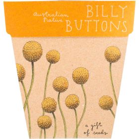 Gift_of_Seeds_Billy_Buttons1