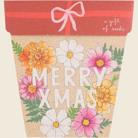 Gift_of_Seeds_Christmas_Blooms1