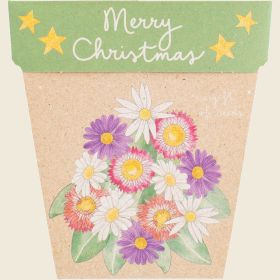 Gift_of_Seeds_Christmas_Native_Daisies1