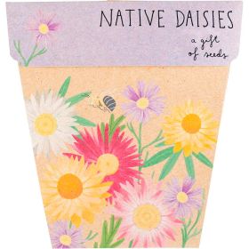 Gift_of_Seeds_Daisies_Native1