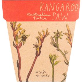 Gift_of_Seeds_Kangaroo_Paw1