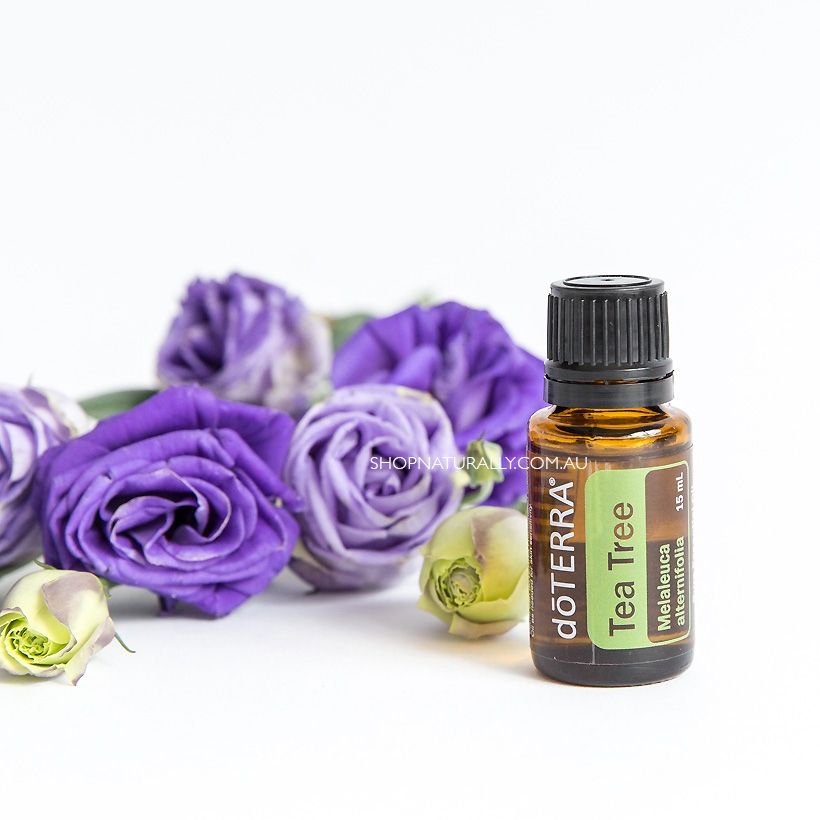 doTERRA Tea Tree Essential Oil 15mL | Shop Naturally Australia