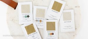 Vanessa Megan Perfume Shopping Guide - 6 powerful scents